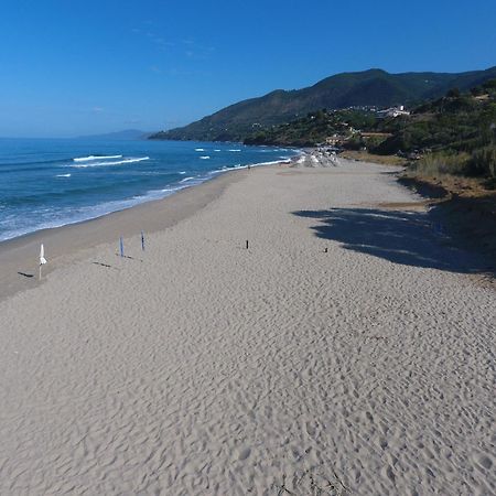 Residence Le Palme - Appartamenti Sul Mare - Spiaggia Tra Palinuro E Caprioli Pisciotta Exterior foto